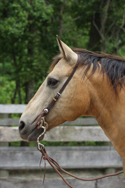 Latigo Slot Ear Headstall