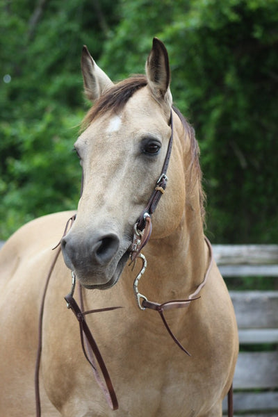 Latigo Slot Ear Headstall