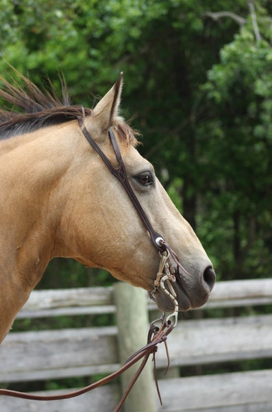 Latigo Slot Ear Headstall